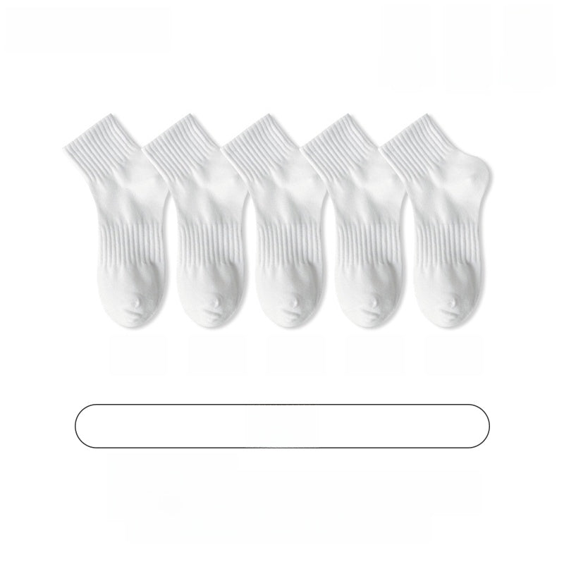 Sc5d64e7235d24cdcb2da283439e5859aw